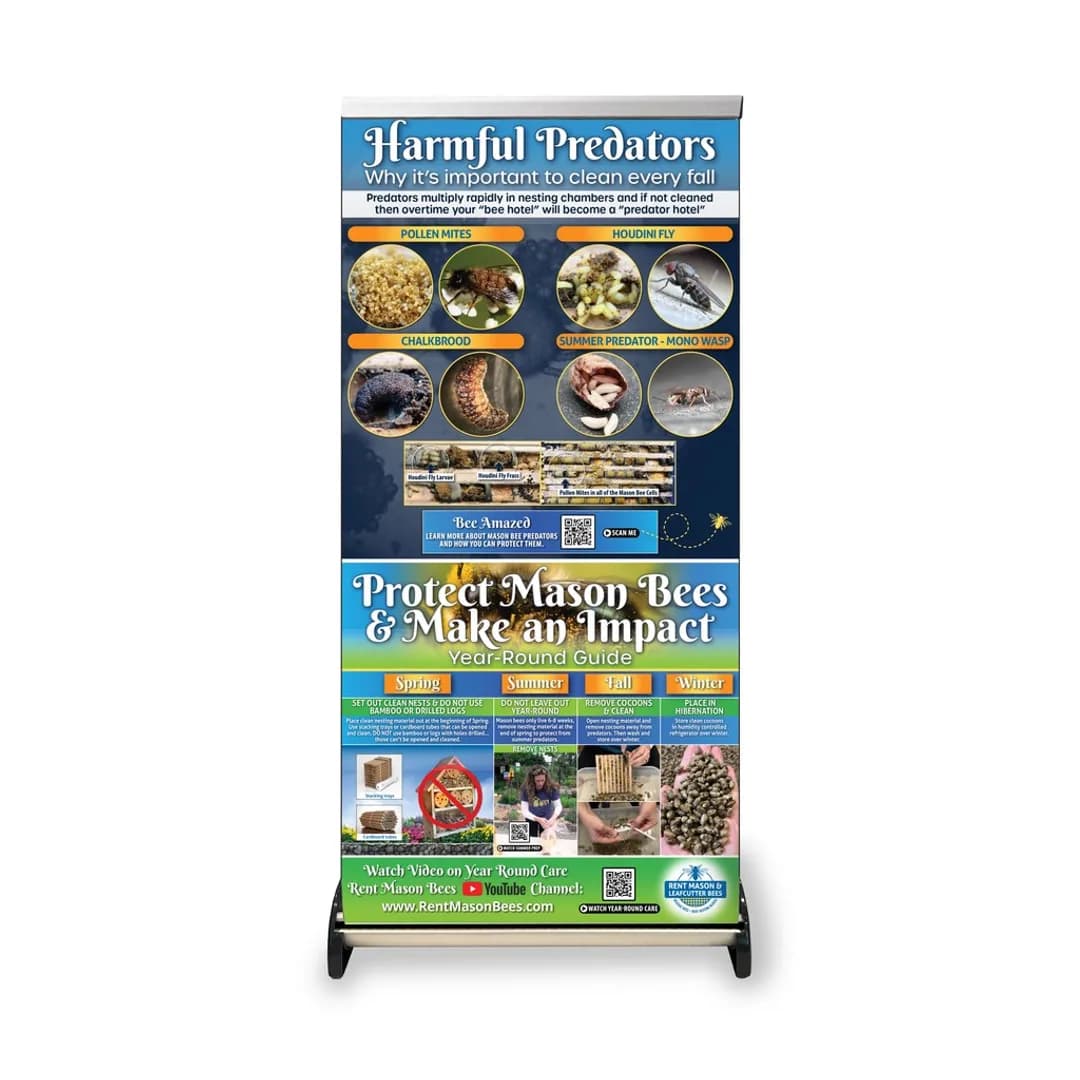Mason Bee Predators & Year-Round Care Tabletop Banner (17")