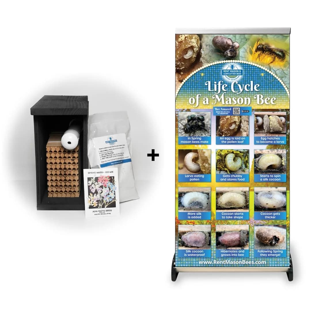 Mason Bee Education Kit with starter house and life-cycle banner