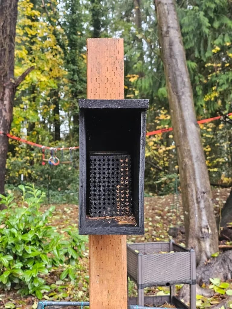 Black bee house with a drilled nesting block, hung on a wooden post in a garden