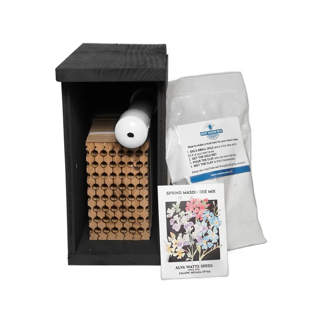 Gift of Mason Bee Starter Kit with black house, nesting block, clay, and spring mix