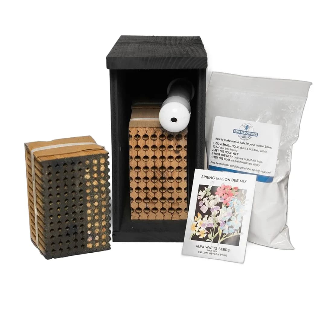 Pollinator Kit with house, mason and leafcutter blocks, clay, and spring mix