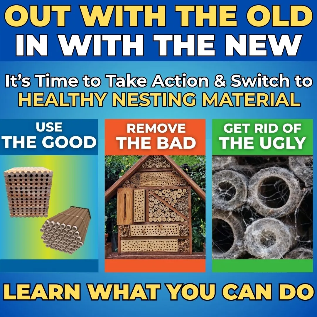 Good Bad Ugly Take Action and Switch1