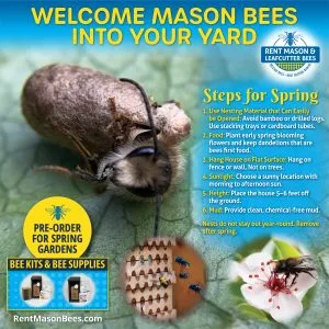 Steps for Spring 2025 logo