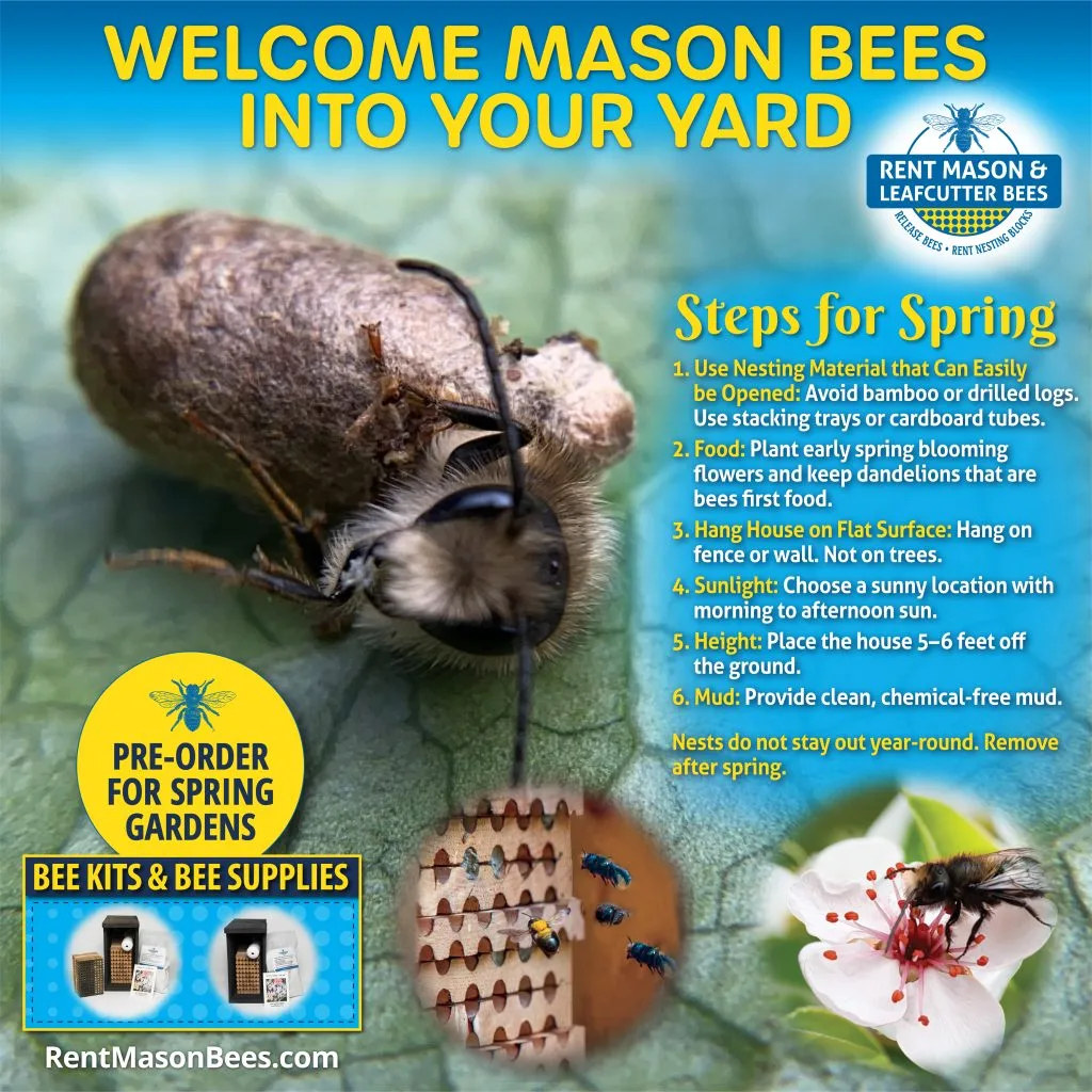 Steps for Spring 2025 logo
