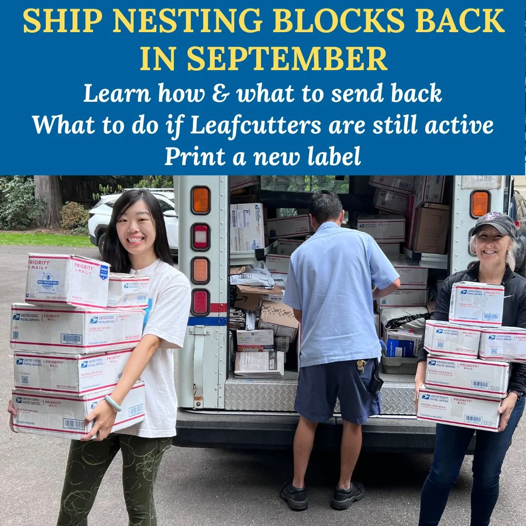Boxes Send in Sept