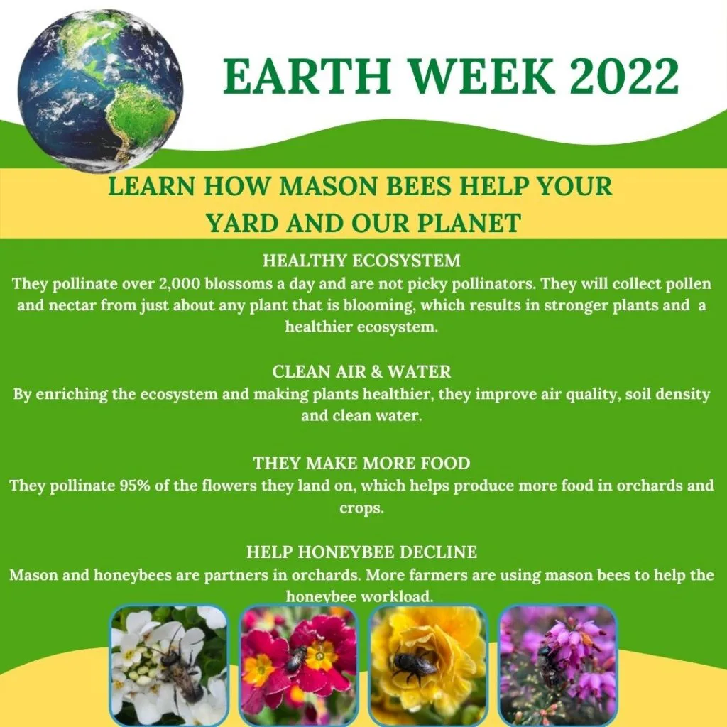 Earth Week 2022 graphic with a globe and four photos of bees on flowers