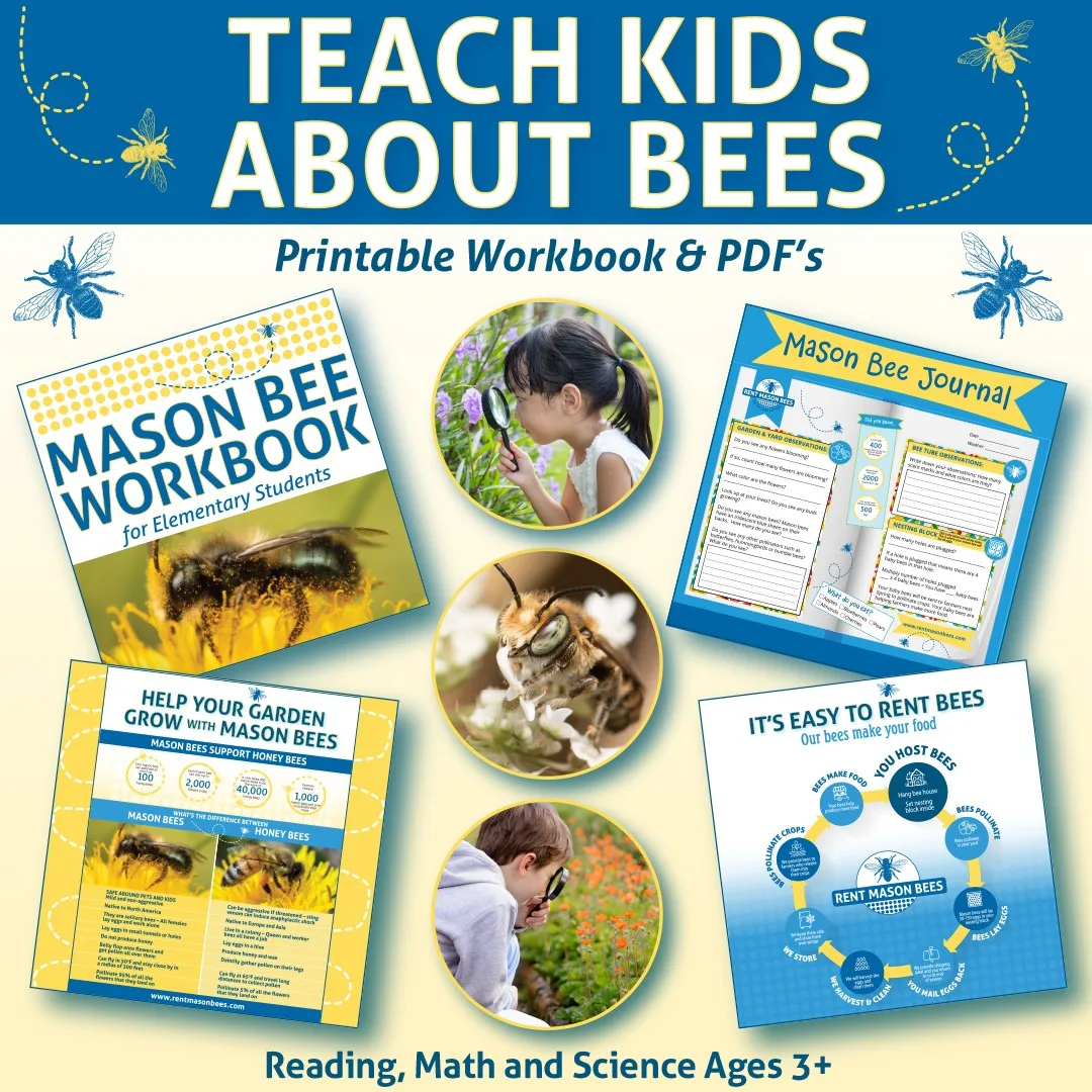 Teach Kids About Mason Bees!