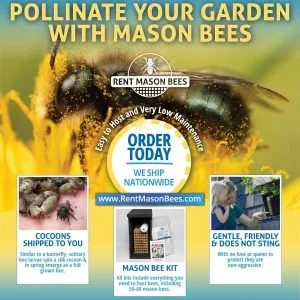 Pollinate with Mason