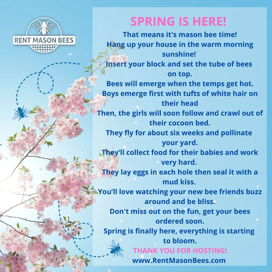 Spring card with pink blossoms and steps for hanging the house and setting out cocoons
