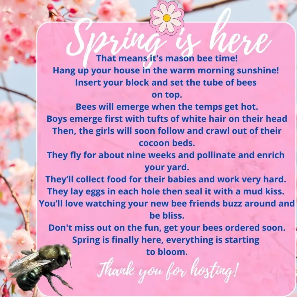 Spring Is Here