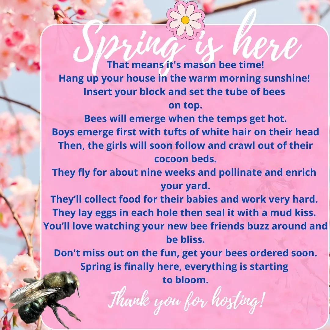 Spring Is Here