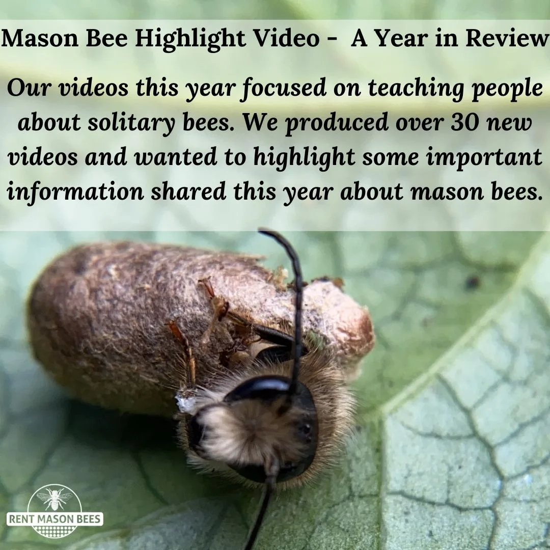 Year in Review