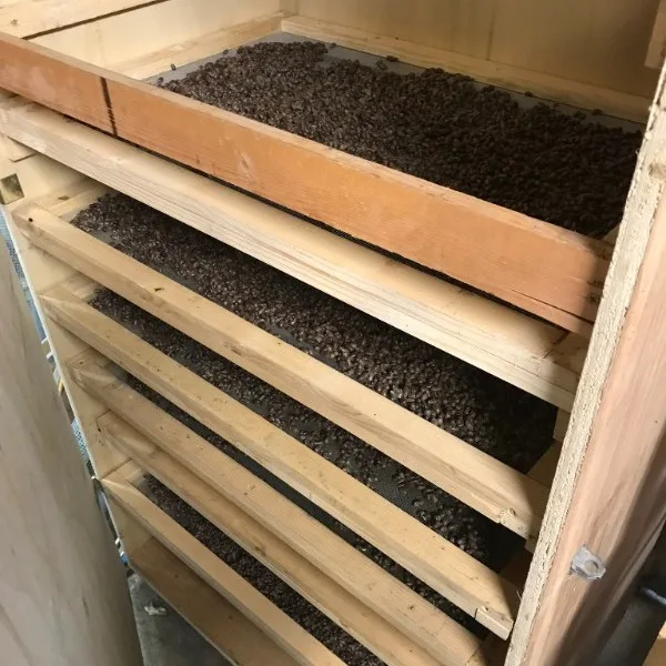 Mason Bee Cleaning