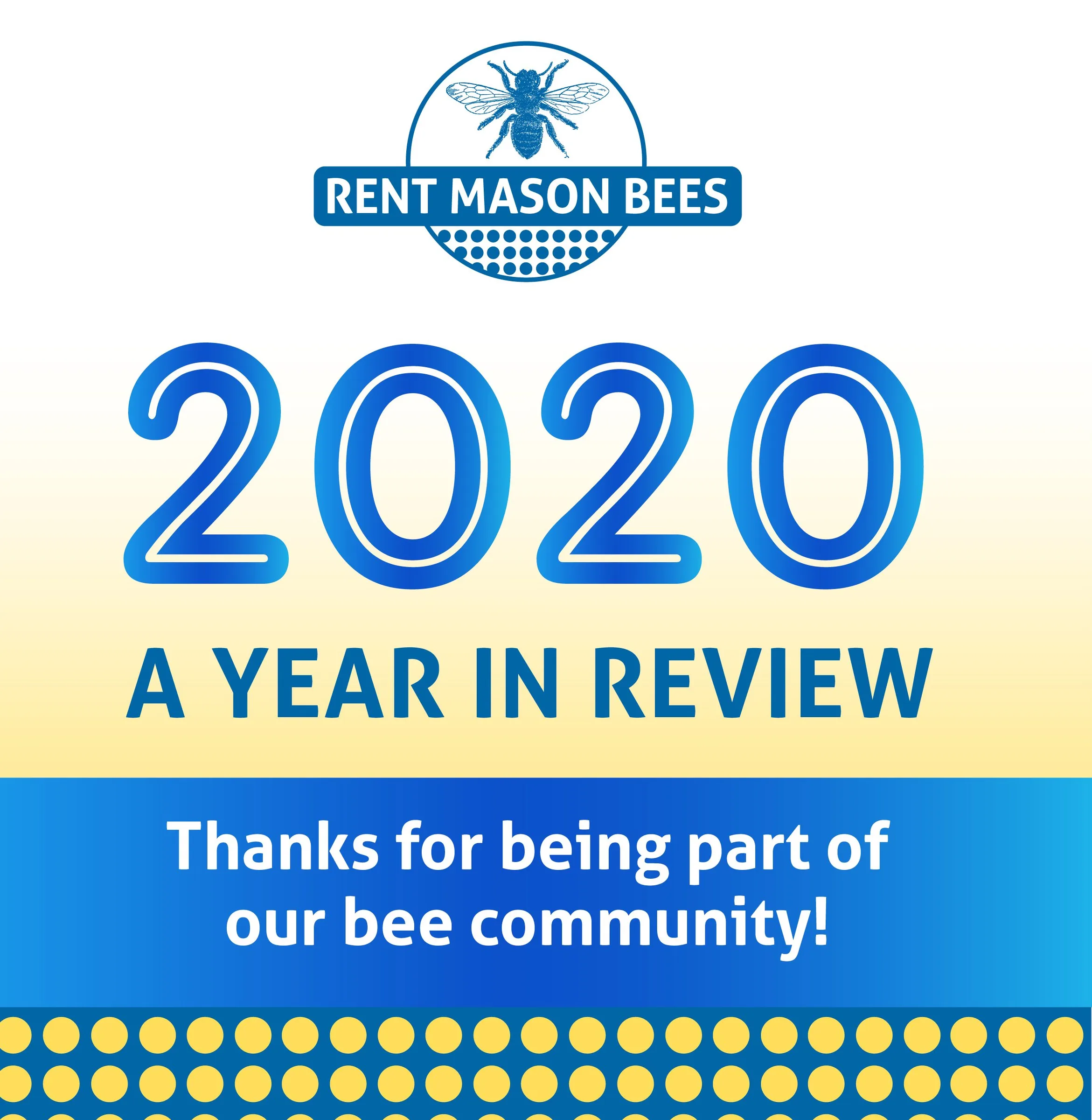 2020 Highlights & Gratitude to You!