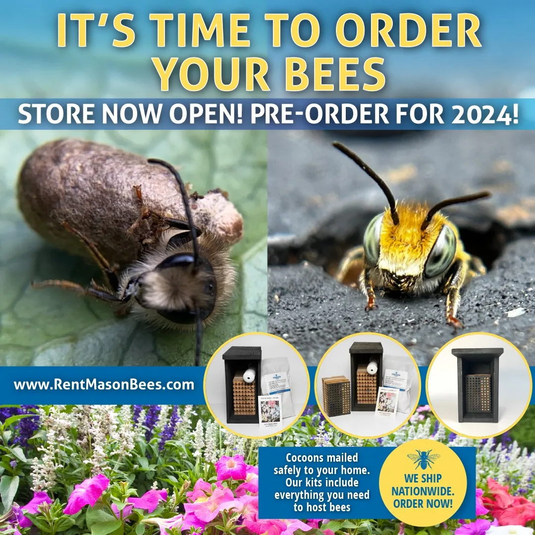 Pre-Order Your Bees for 2024