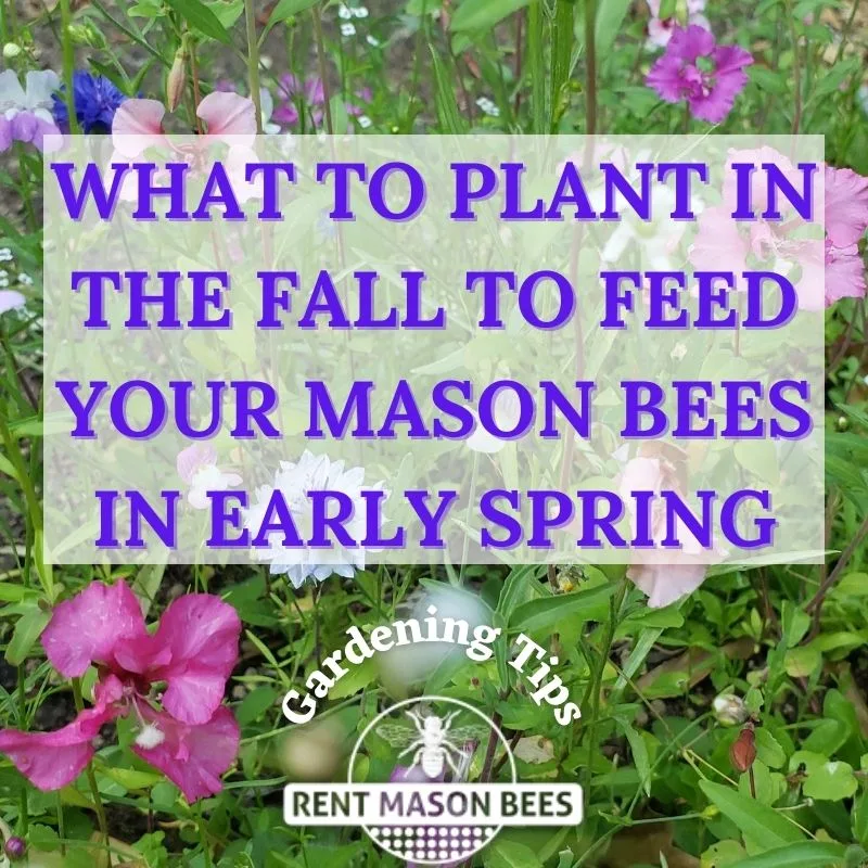 What to Plant in Fall2