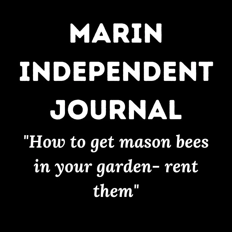 Marin Journal