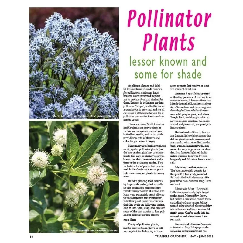 Pollinator Plants Page