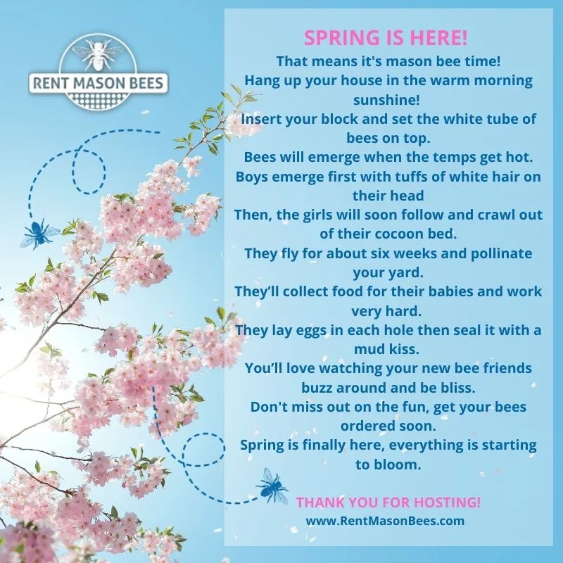 Spring is Here! It's Mason Bee Time!