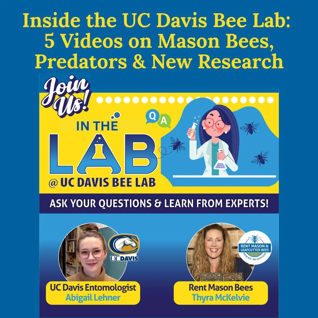 For All UC Davis Videos