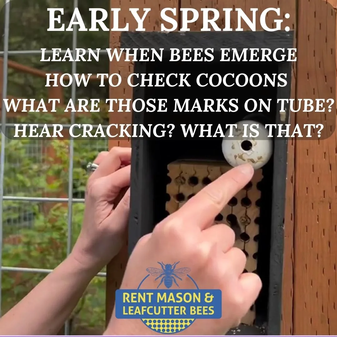 Check Your Tubes 1080 × 1080