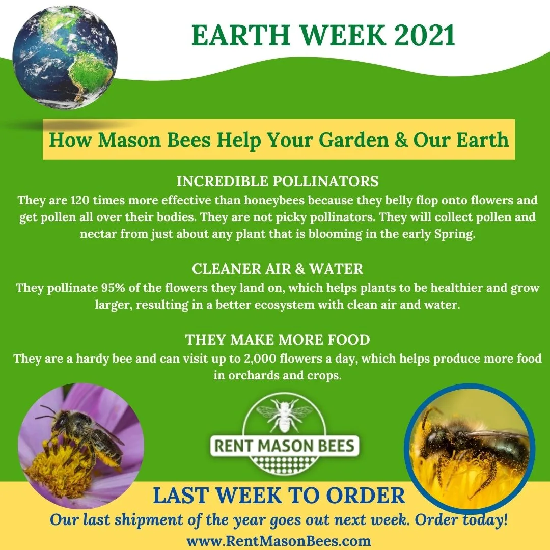Earth Week 2021 No Coupon