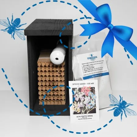 Gift of Bees
