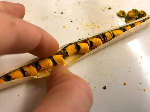 What’s happening with mason bee research in Seattle?