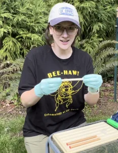 What We Learned from Backyard Mason Bee Hosts