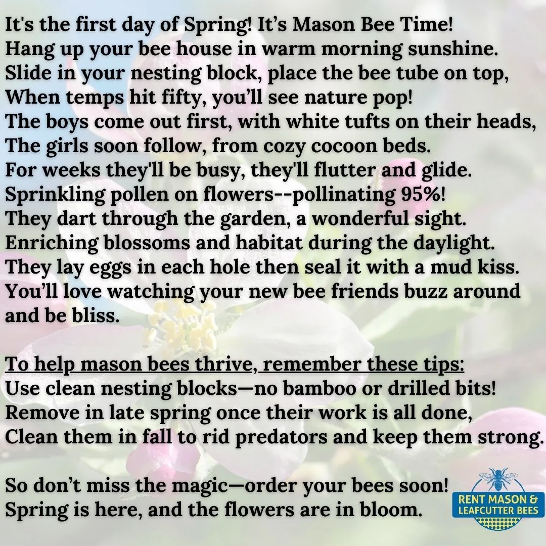 It's the First Day of Spring!