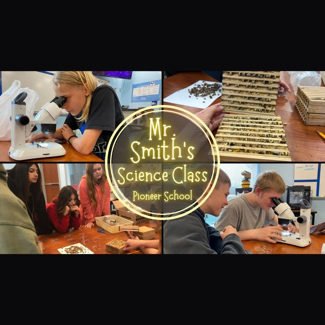 Mr Smiths Stem Class 1080 × 1080