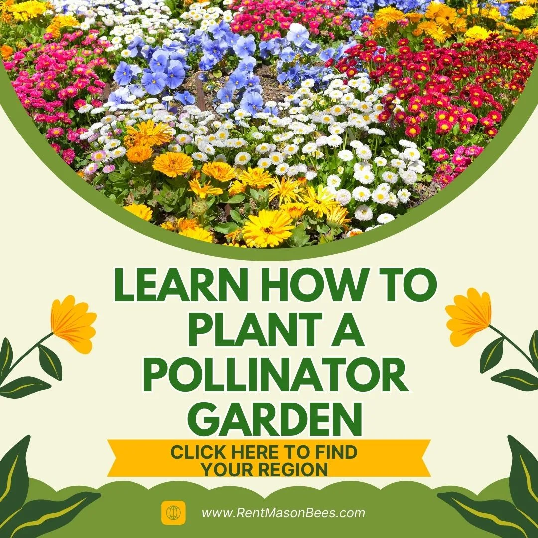 National Gardening Day