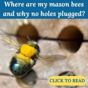 Newsletter Why No Holes