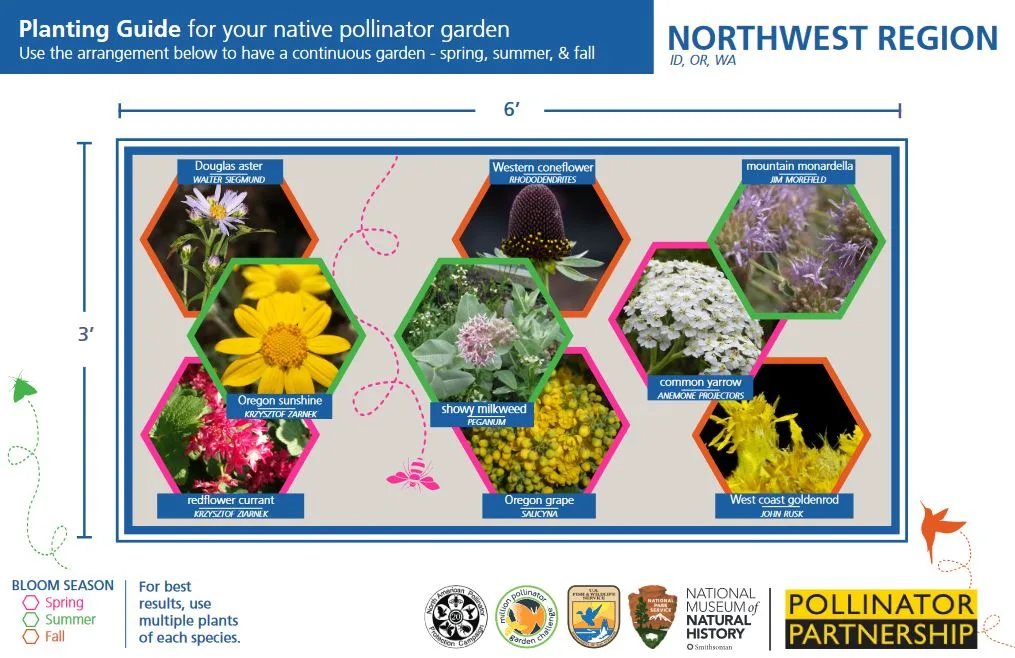 Pollinator Partnership planting guide for the Northwest, with nine native flowers