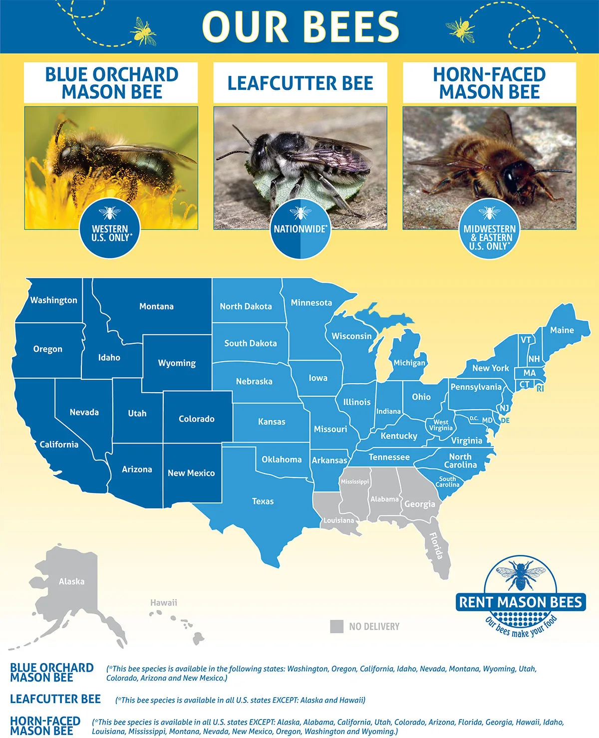 Our Bees 3 Bees Graphic