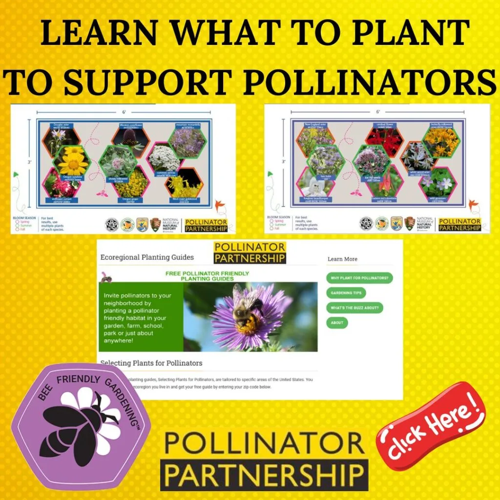 Pollinator What to Plant 1