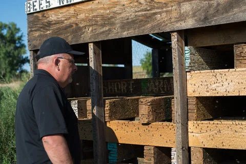 A man in a black cap looks at stacked wooden nesting boards in an open shed
