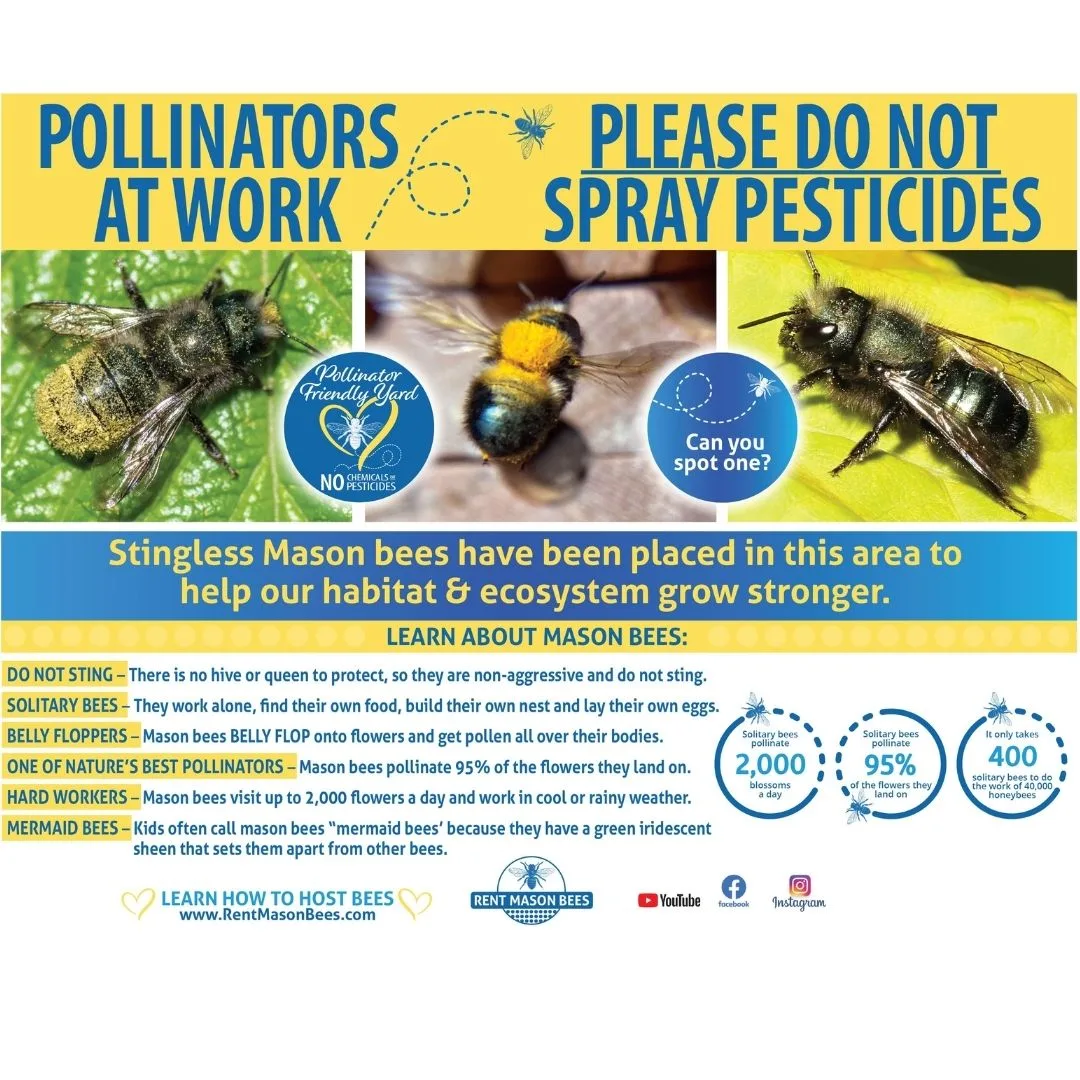 Pollinators At Work