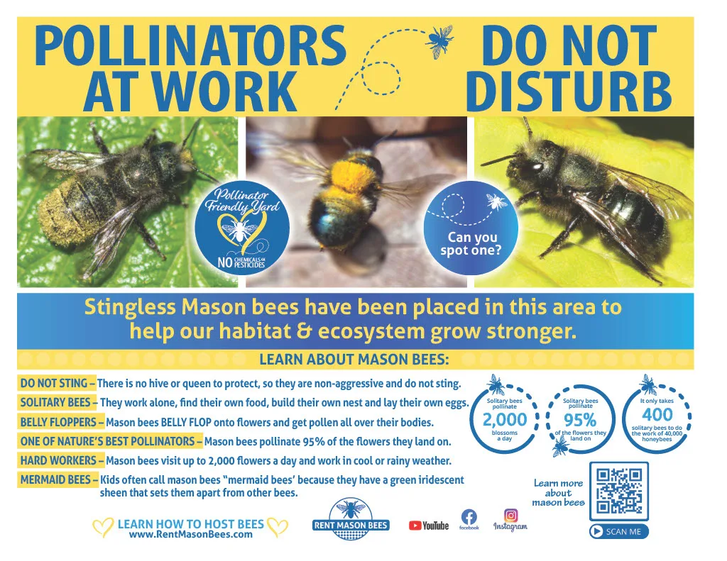 Pollinators At Work Do Not Disturb Qr Code 2022 Copy1024 1