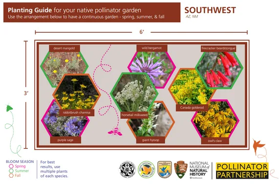 How to Plant a Pollinator Garden