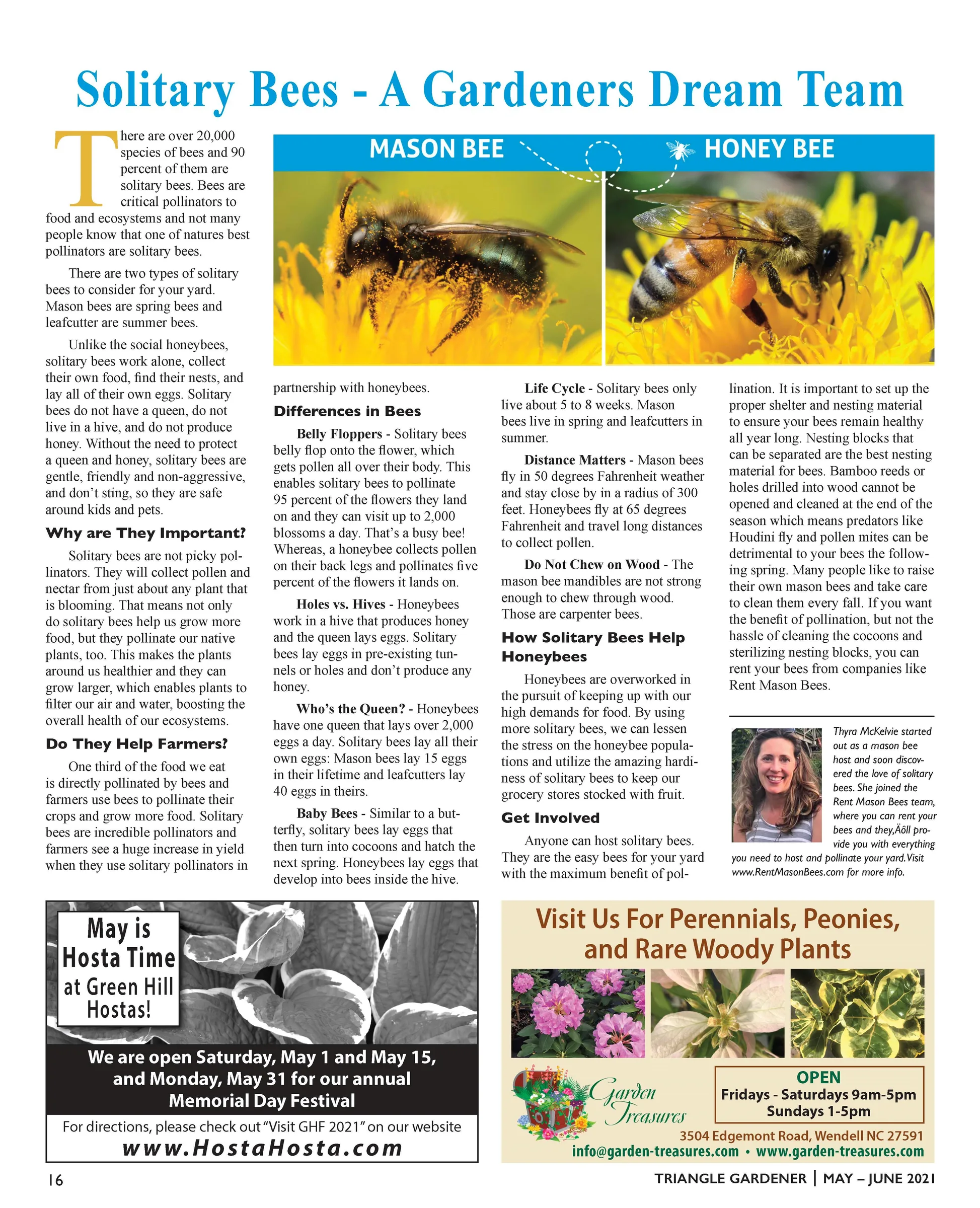Magazine page comparing a mason bee and a honey bee, from Triangle Gardener