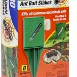 Ant Bait Stakes