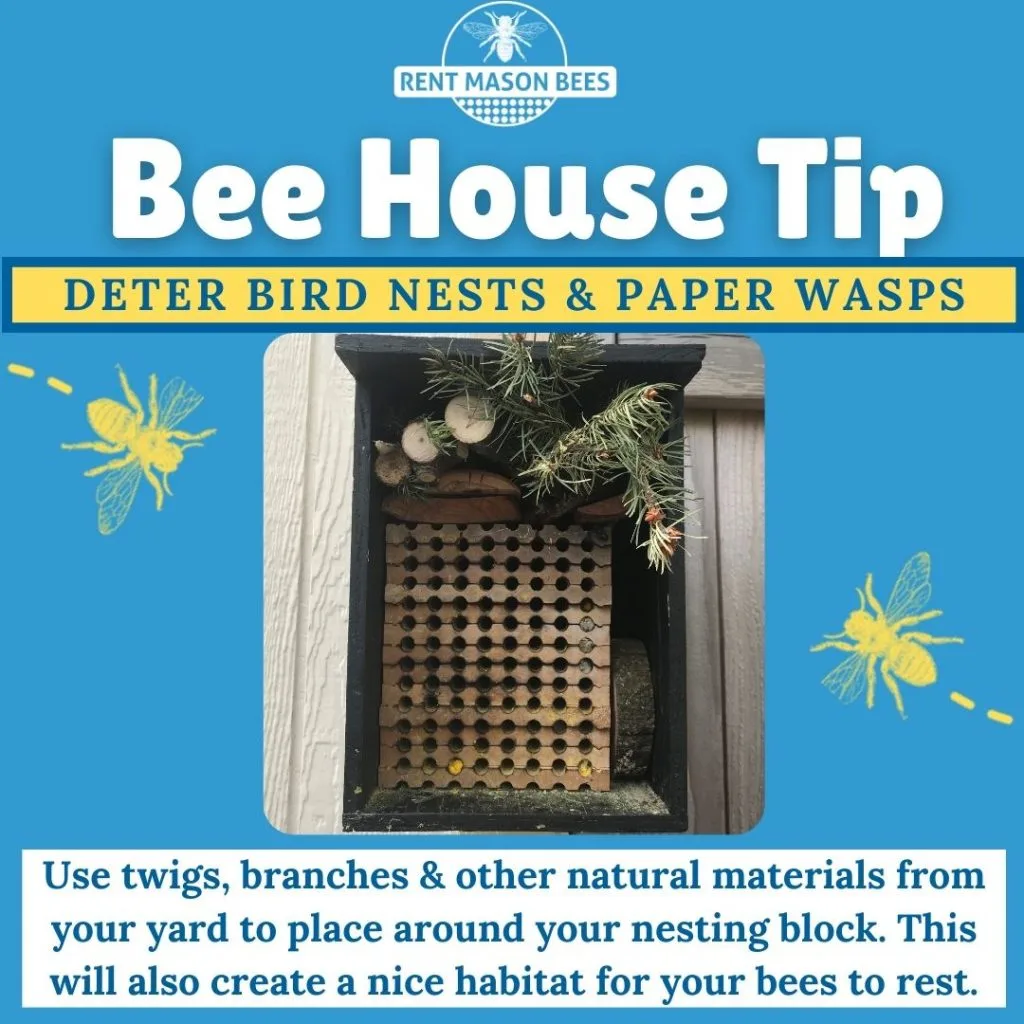 Bee House Tip Deterent