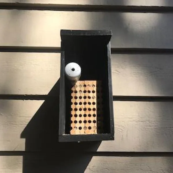 Bee House