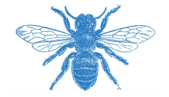 Bee Transparent Background 2048x
