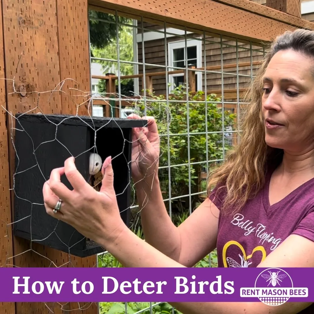 Deter Birds 1080 × 1080