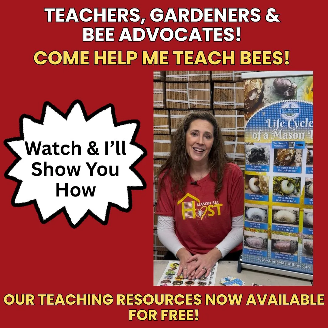 Education Resources 1080 X 1080