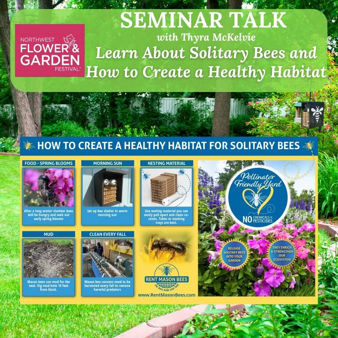 Seminar Talk 1080 × 1080