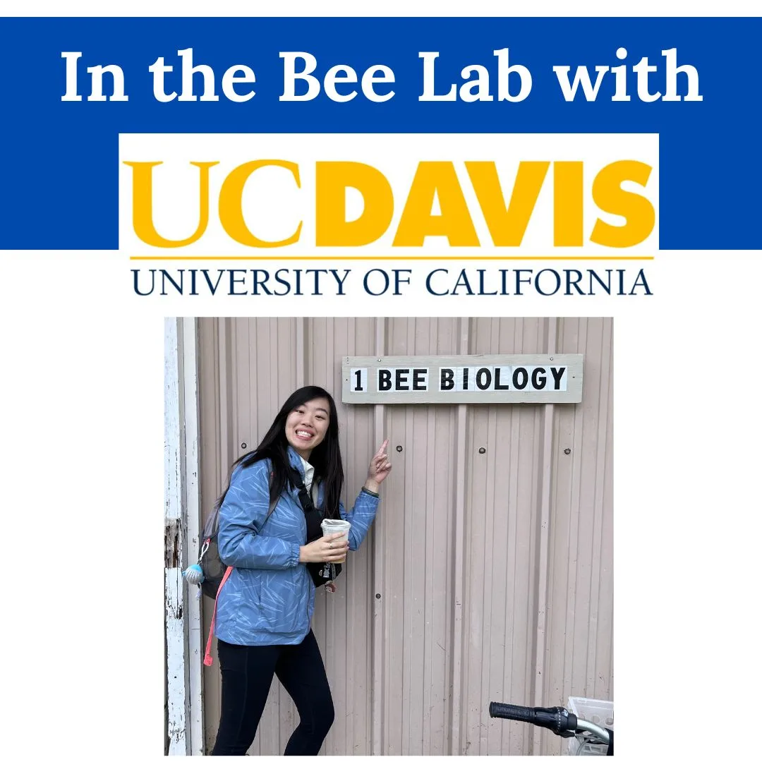 Bee Research - UC Davis Bee Lab