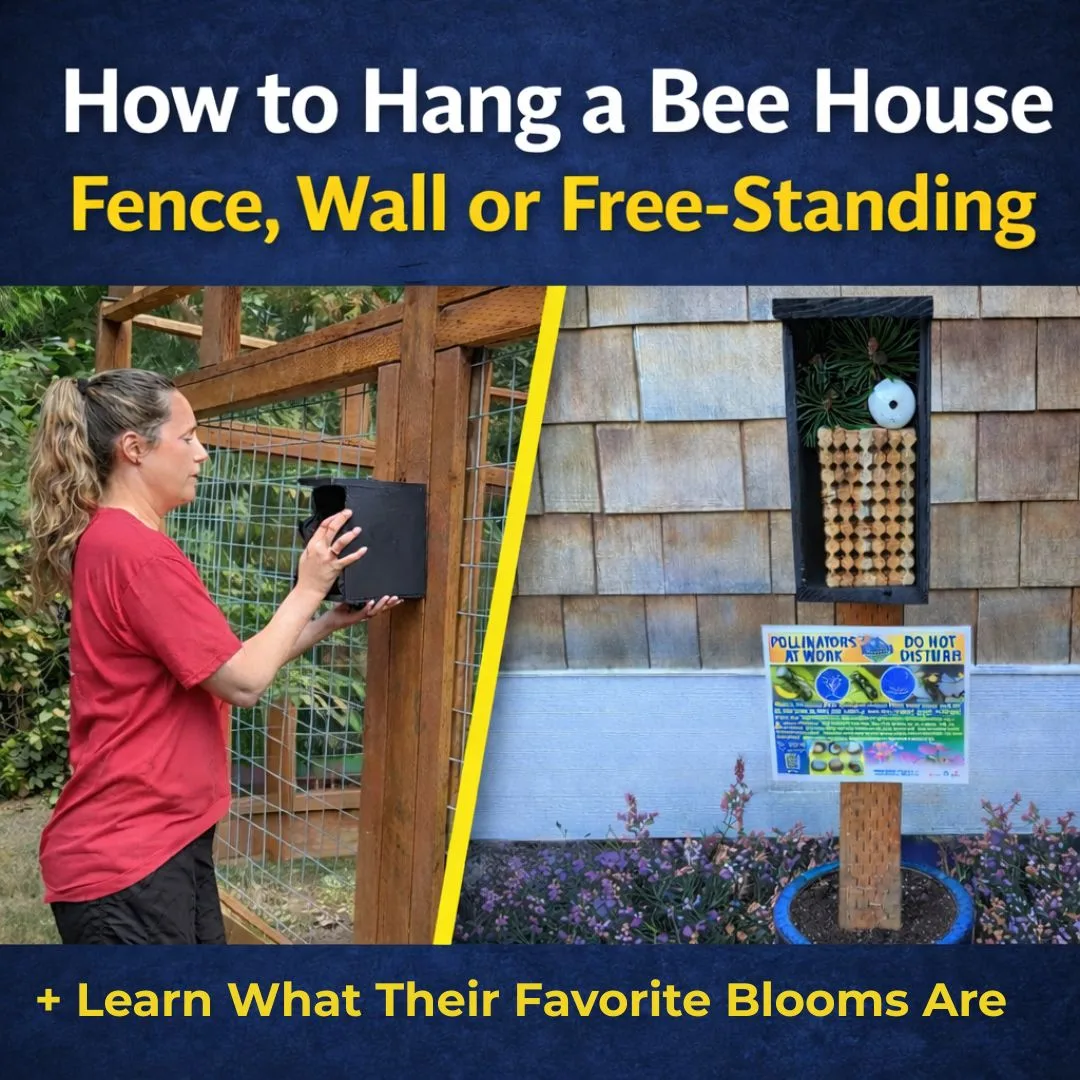 How to Hang